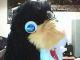 Flibster's picture